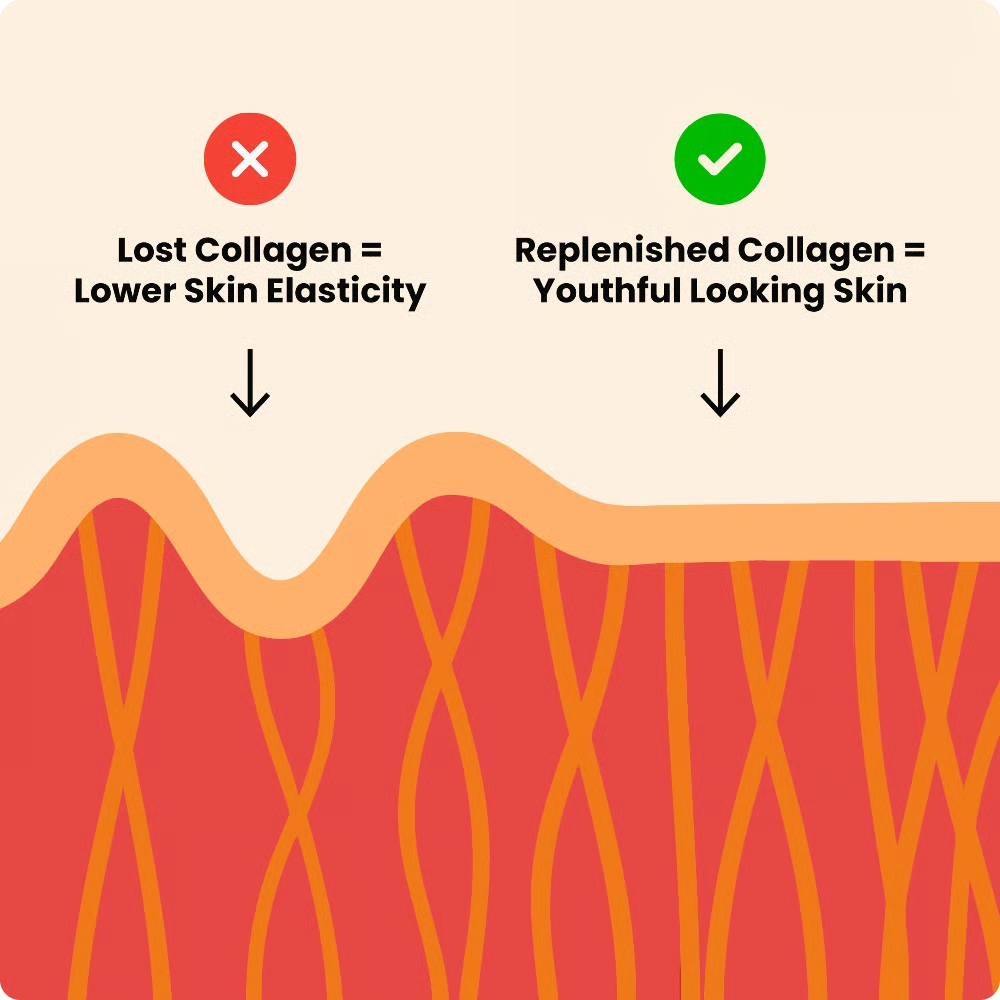 How Collagen Locks In What The GLP-1 Takes Away