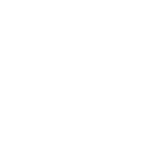 Brain Fog