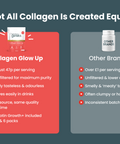 Collagen Glow Up Powder Subscription Test-Nutrition Geeks